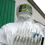 свиной грипп