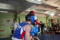 3681.jpg 3681.jpg