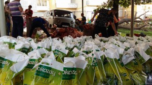 12006271_898312190248152_73962282670223261_n