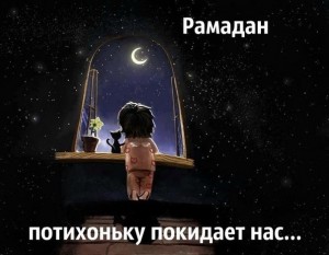 image-23-06-16-04-25