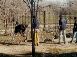 FullSizeRender-15-04-17-10-11-4