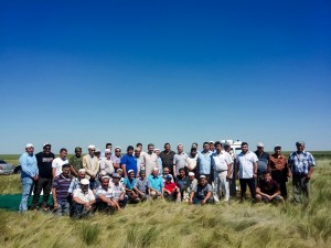 image-04-07-18-16-48-2