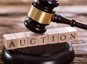 zeid_bin_sabit_20200215_200417_0